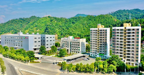 單品年售10億粒,這顆南酸棗糕到底多 硬核 產(chǎn)品篇