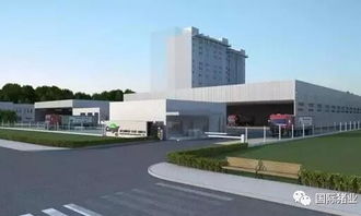 嘉吉加碼江西市場(chǎng)，2億飼料廠引發(fā)行業(yè)格局新變數(shù)